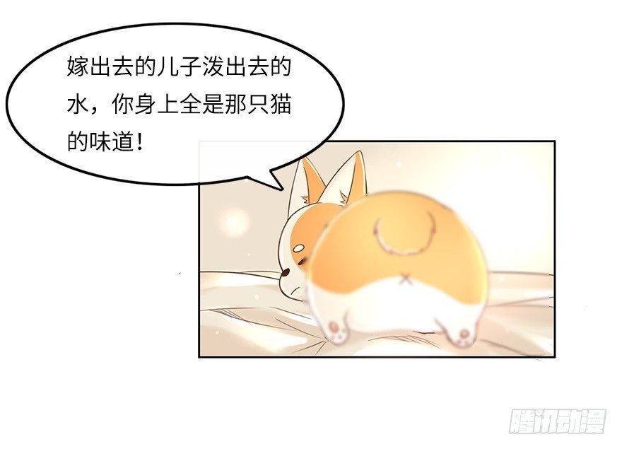 余生，有你真好（四）