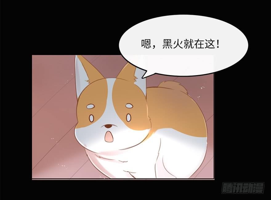 你不知道我有多爱你（三）