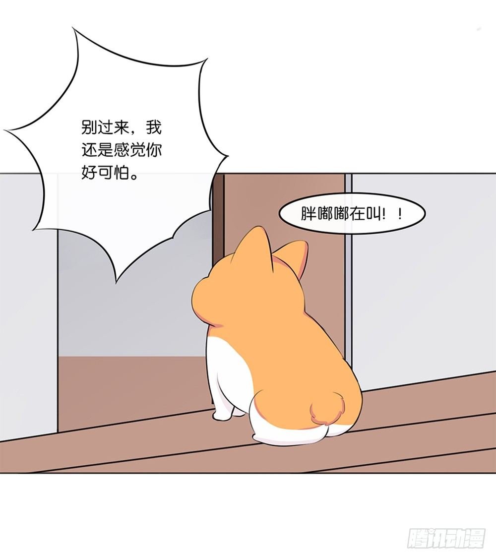 懒散的夏日（下）