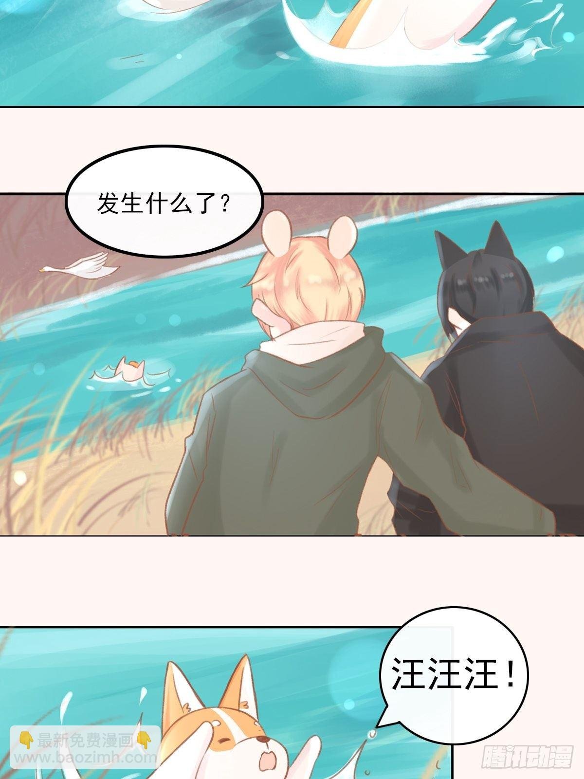 我的英雄（四）