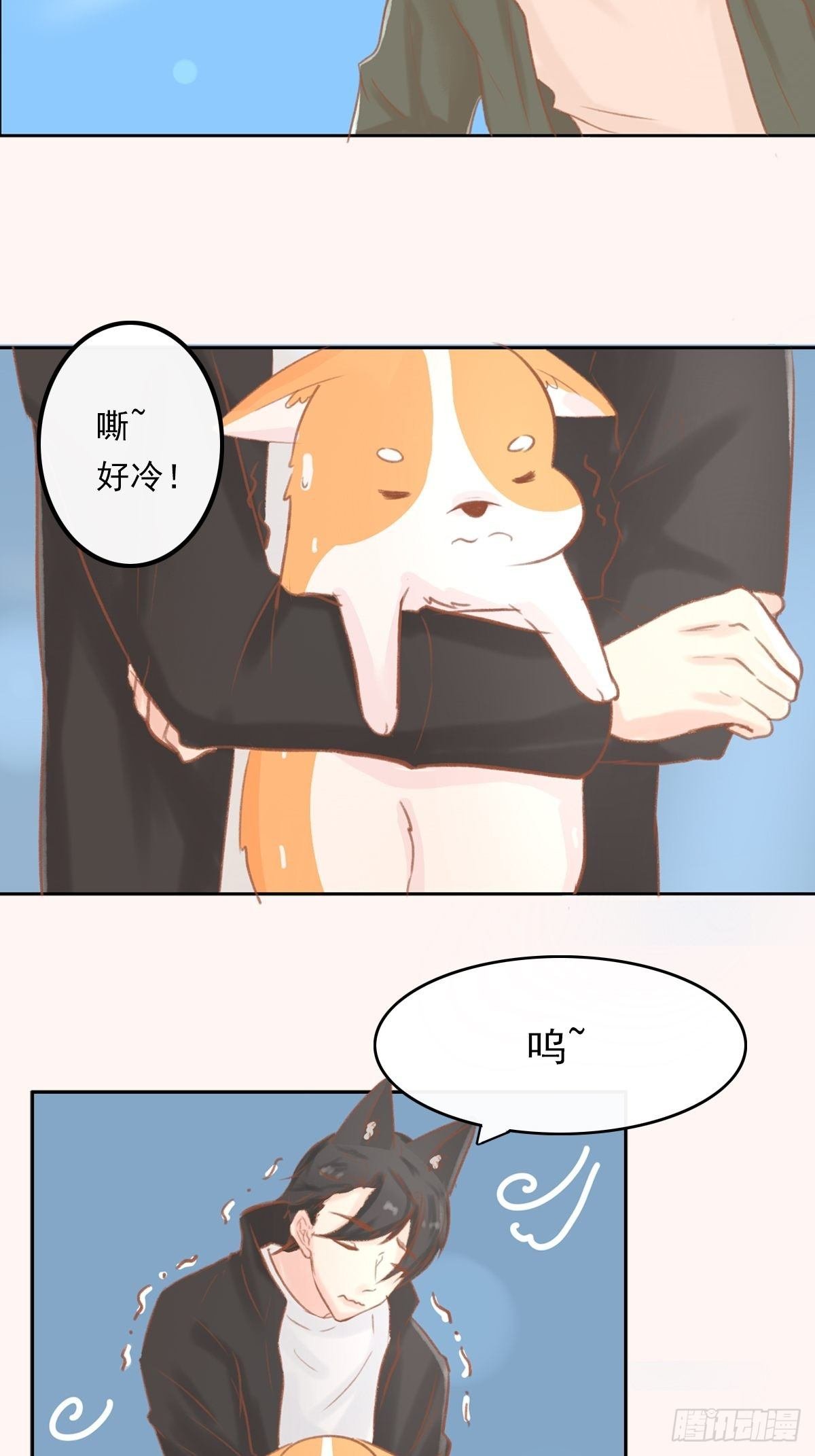 我的英雄（四）