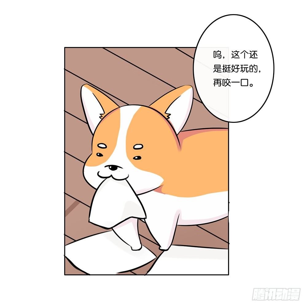 工作的烦恼（上）