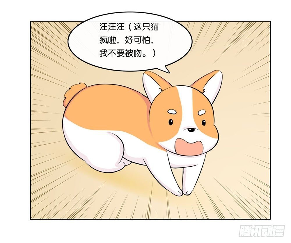 工作的烦恼（下）