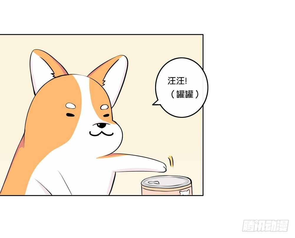 工作的烦恼（下）
