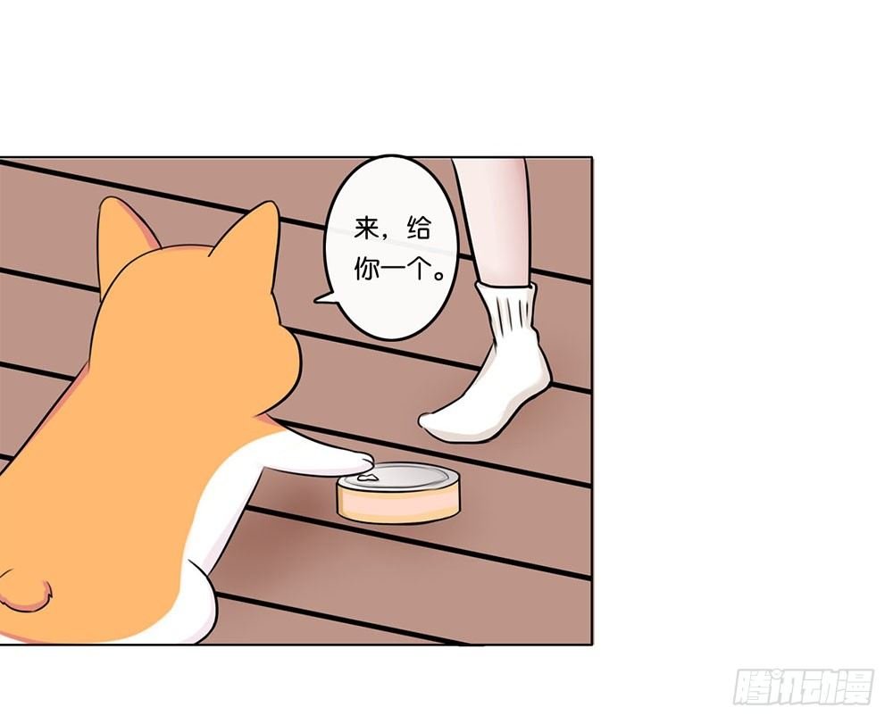 工作的烦恼（下）