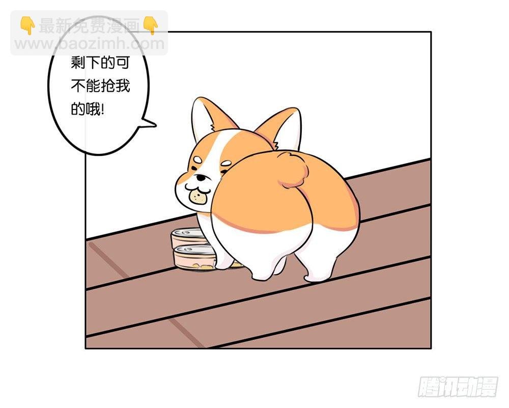 工作的烦恼（下）