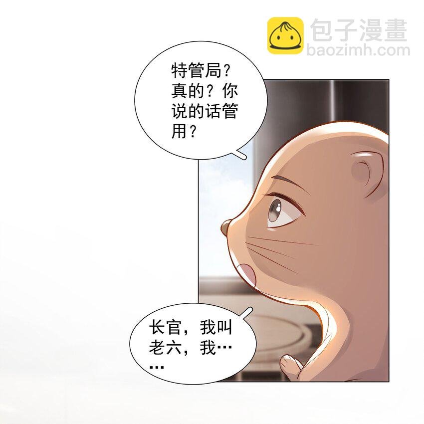 45 天雷