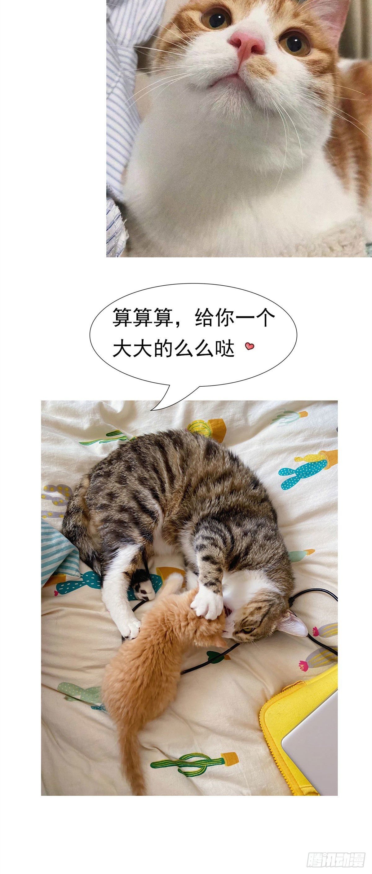 16 最后的礼物