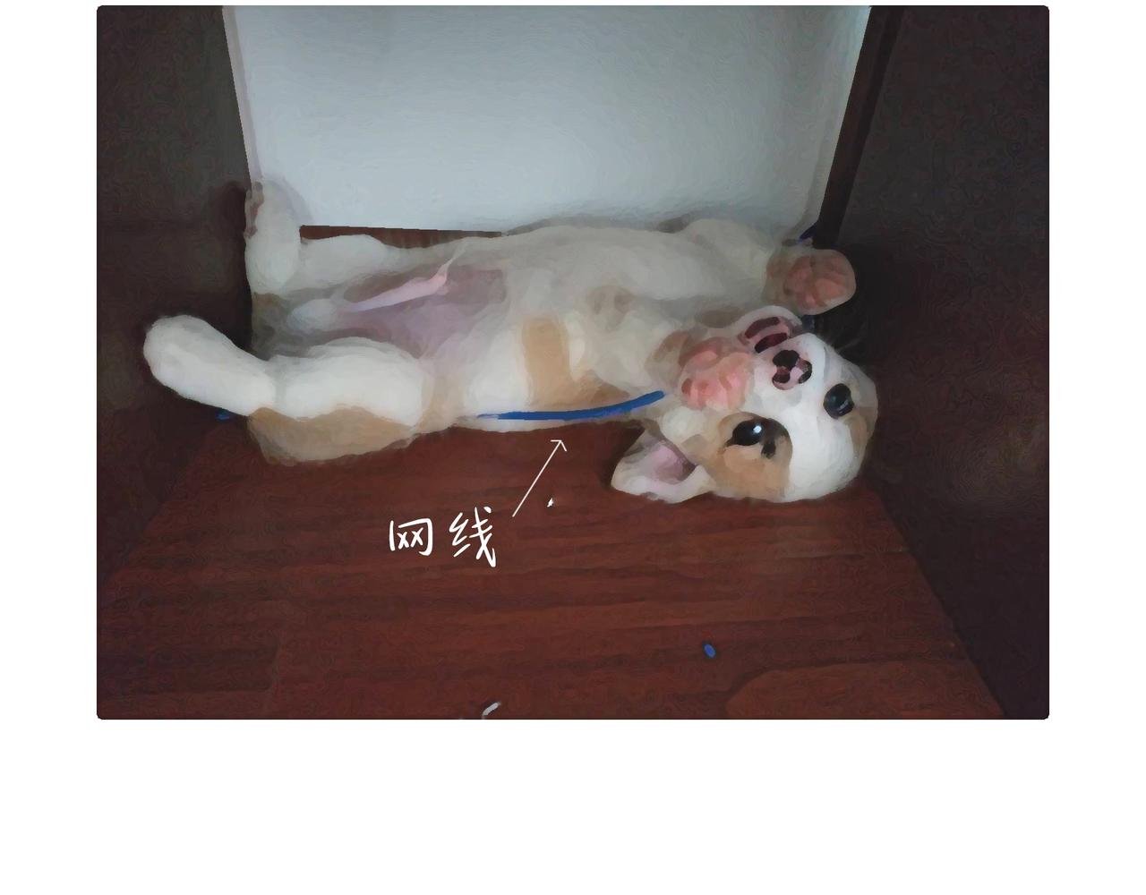 眼线仙子与创作坎坷