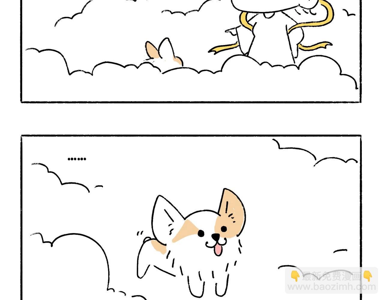 苏妲基