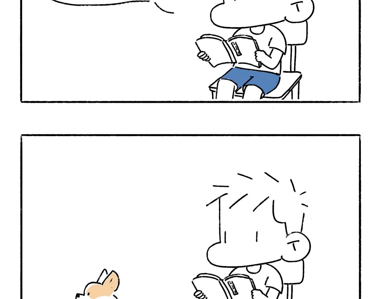 苏妲基