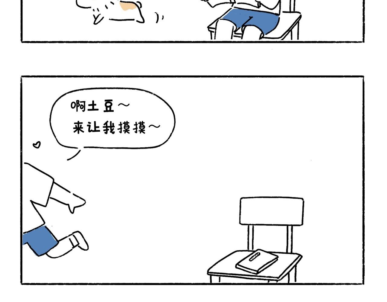 苏妲基