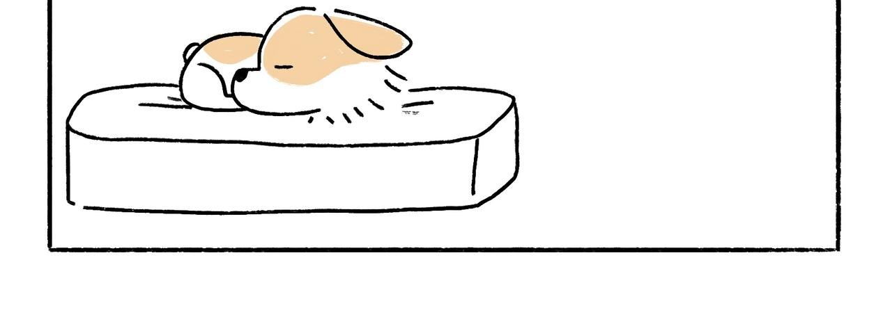 苏妲基