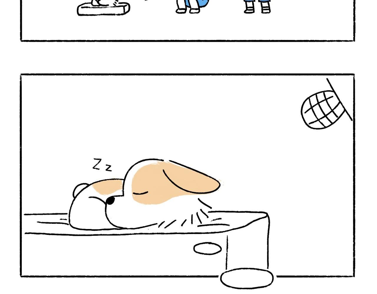苏妲基