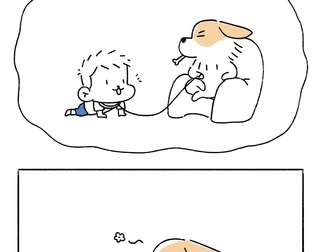 苏妲基