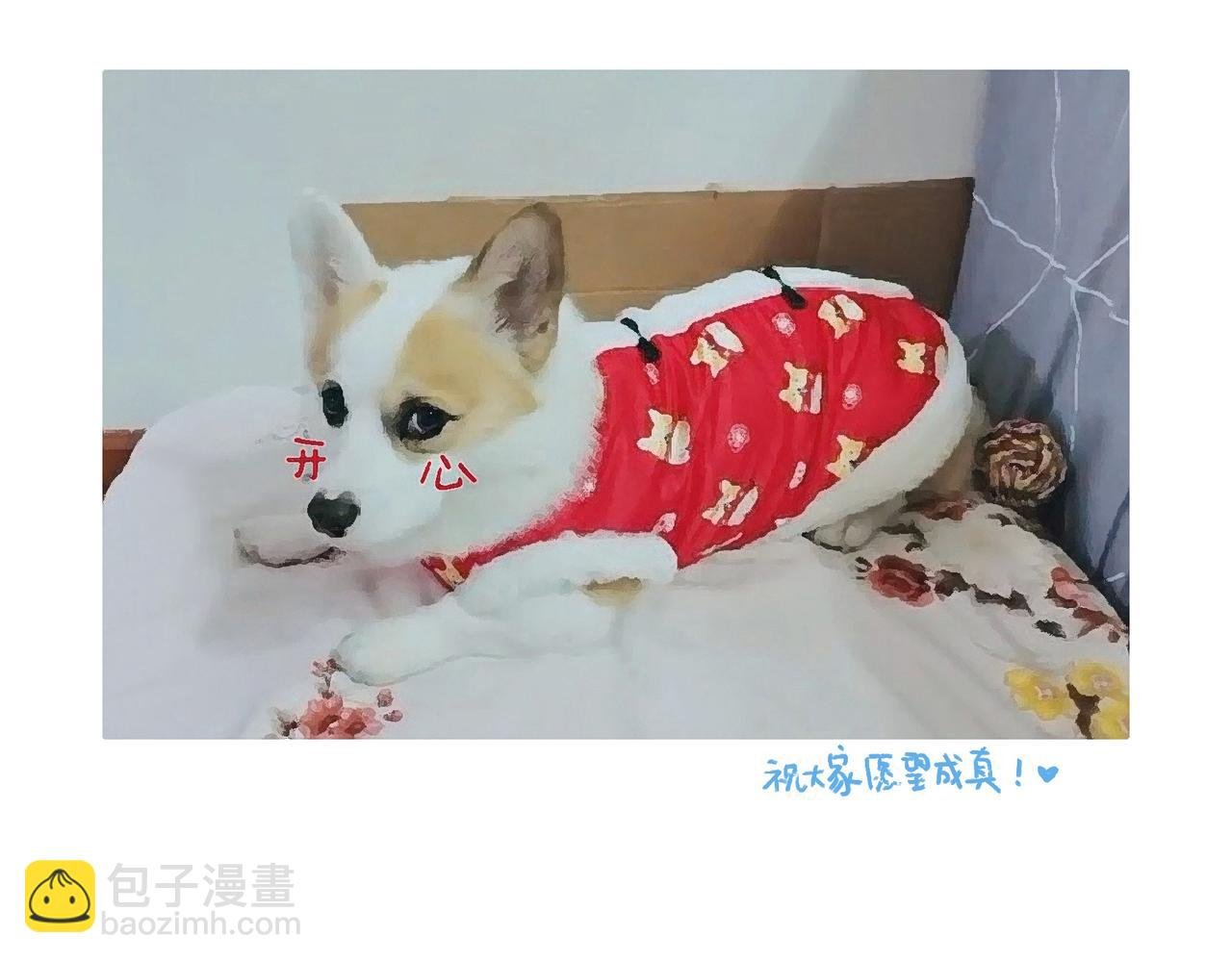 苏妲基