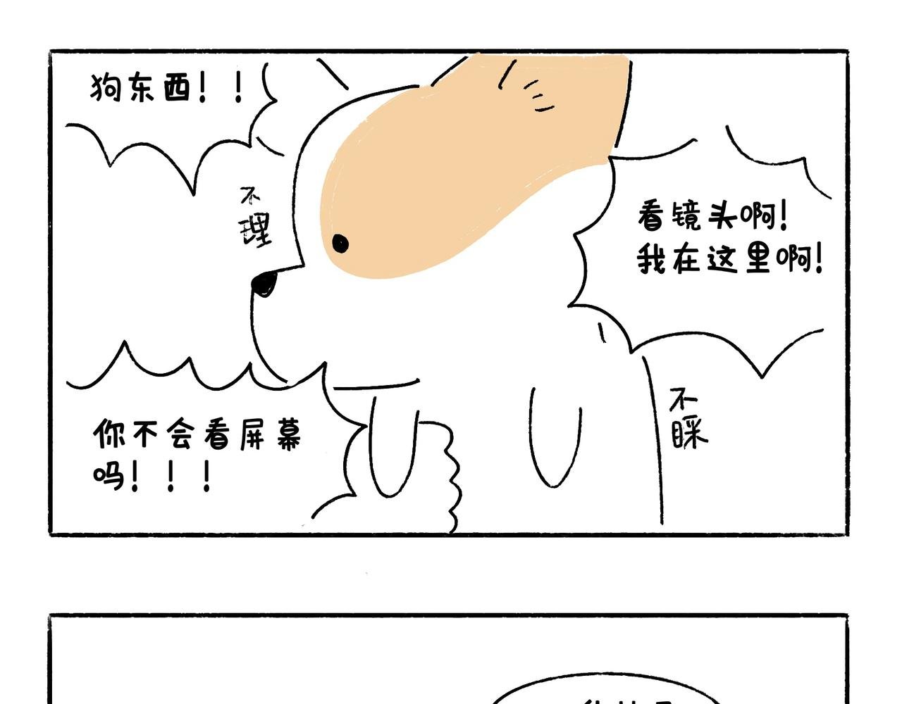 冷漠与热情