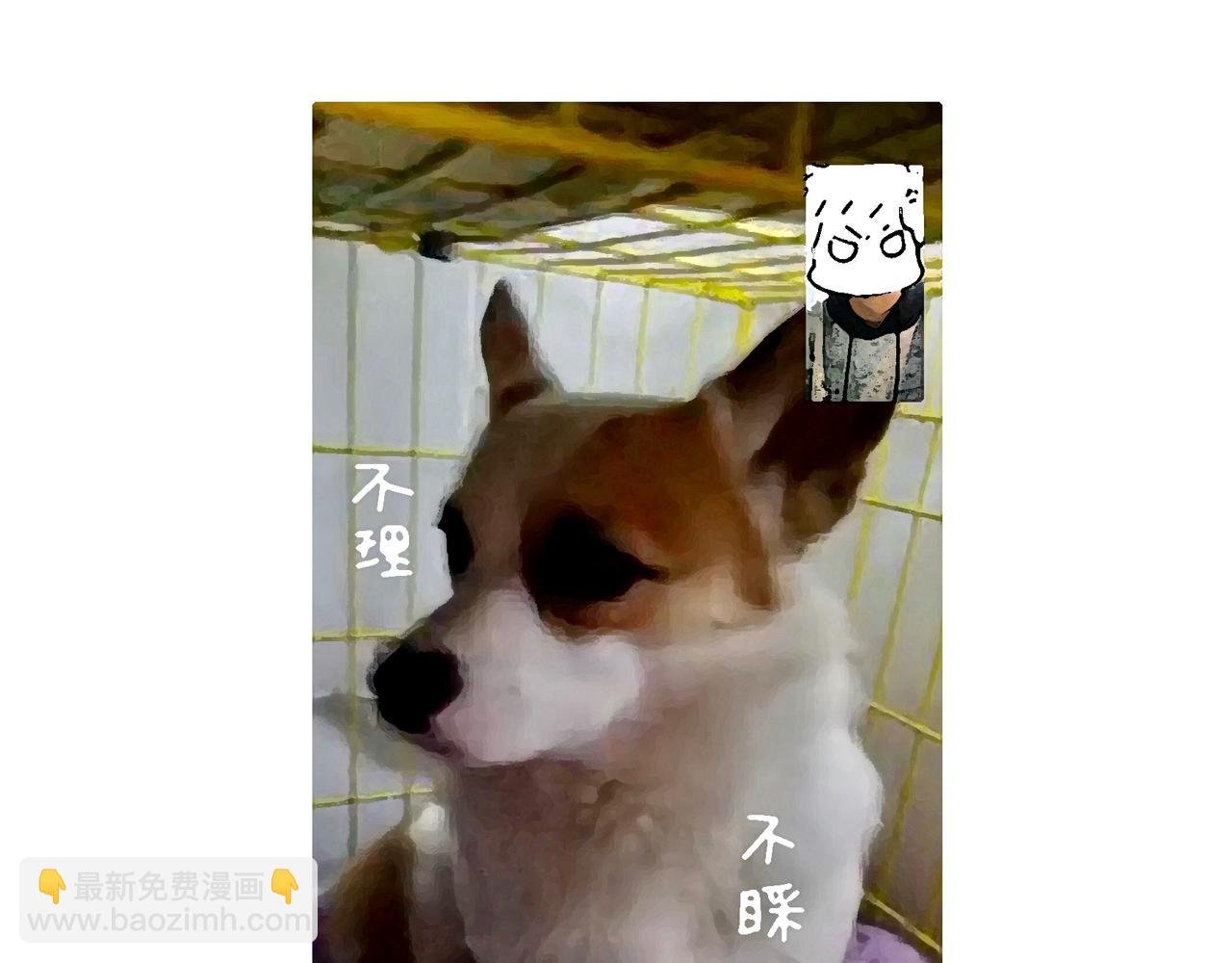 冷漠与热情