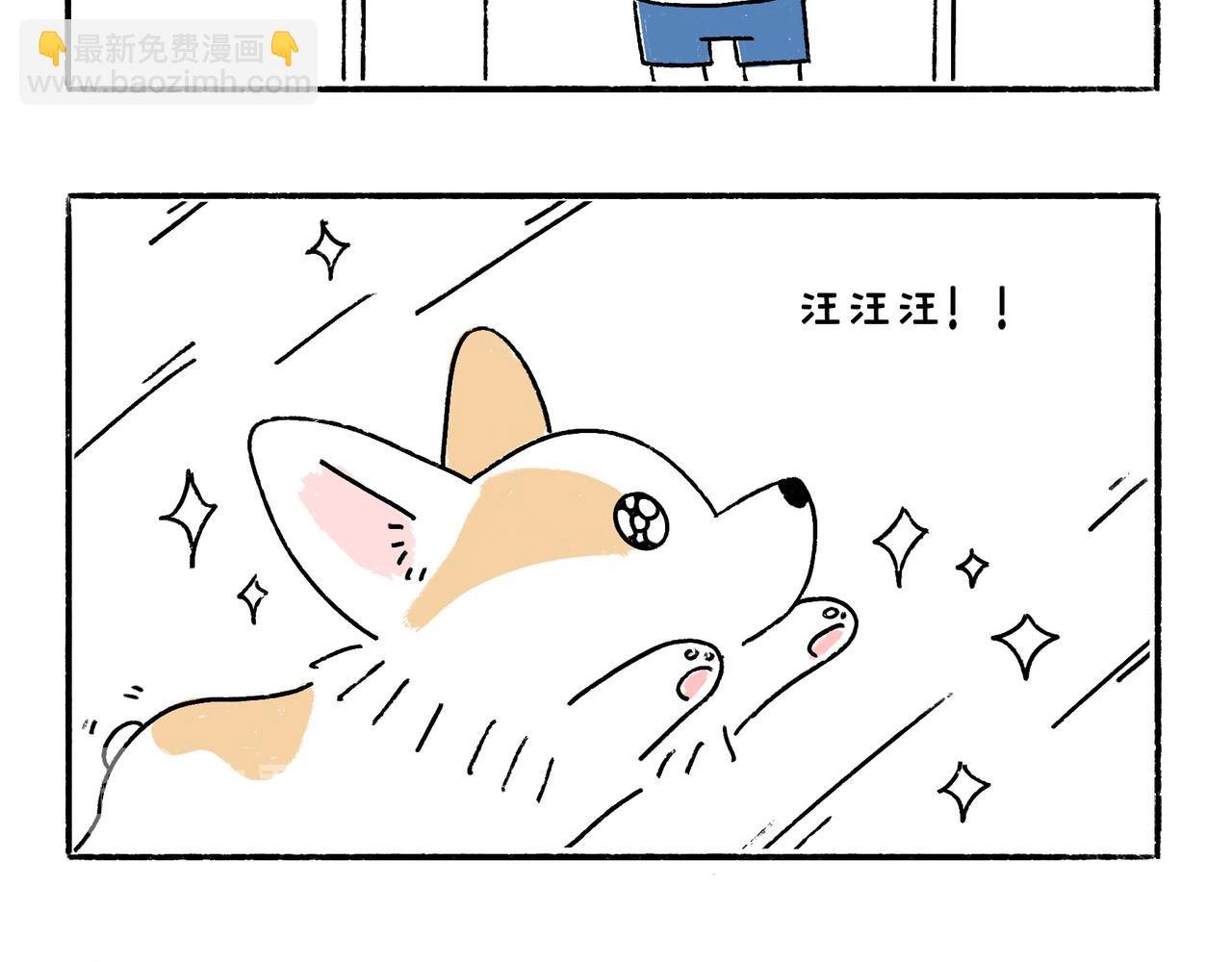 冷漠与热情