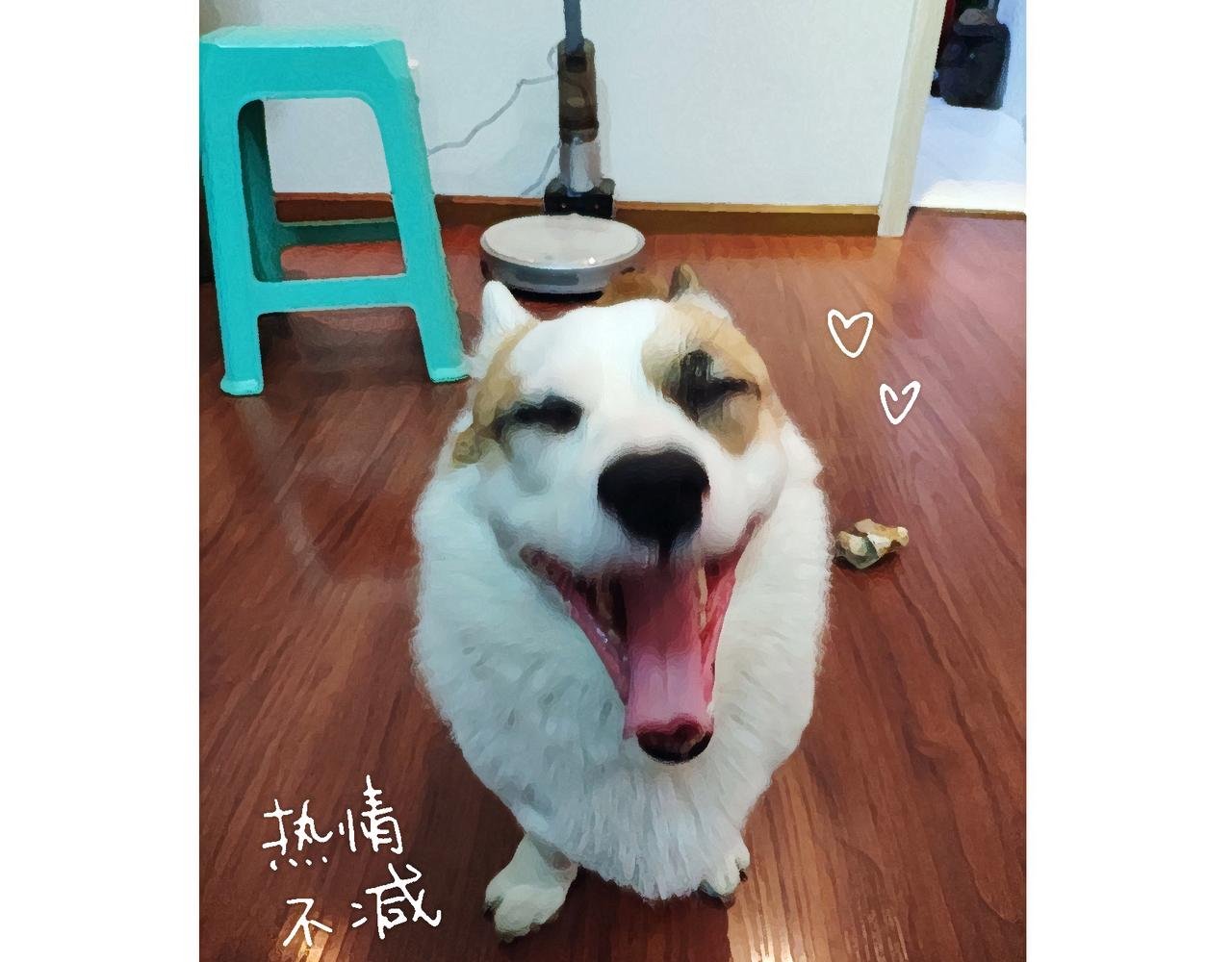 冷漠与热情