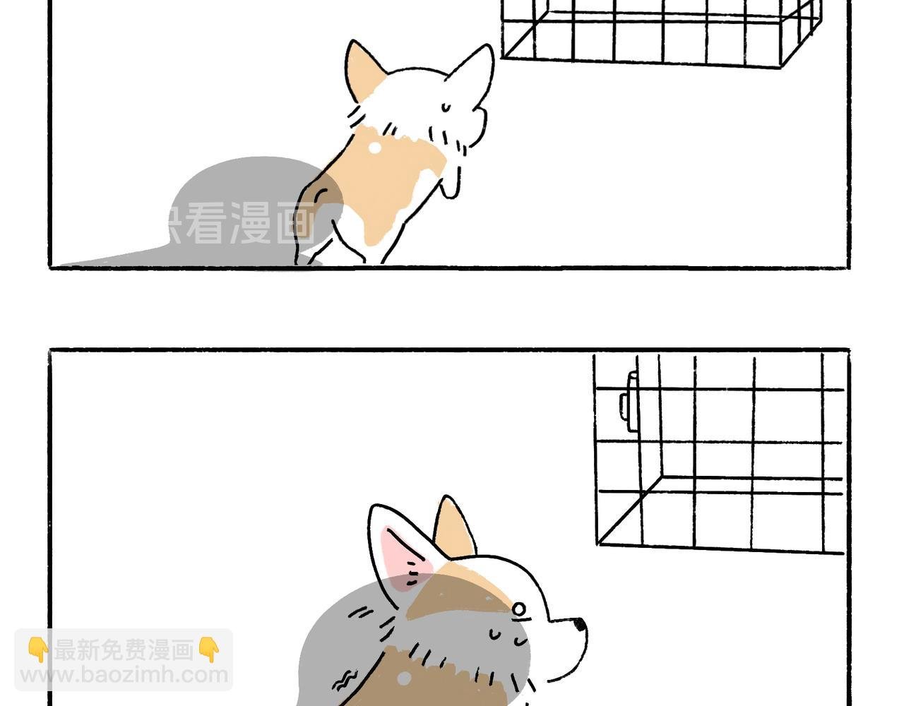 妈妈的严厉与温柔
