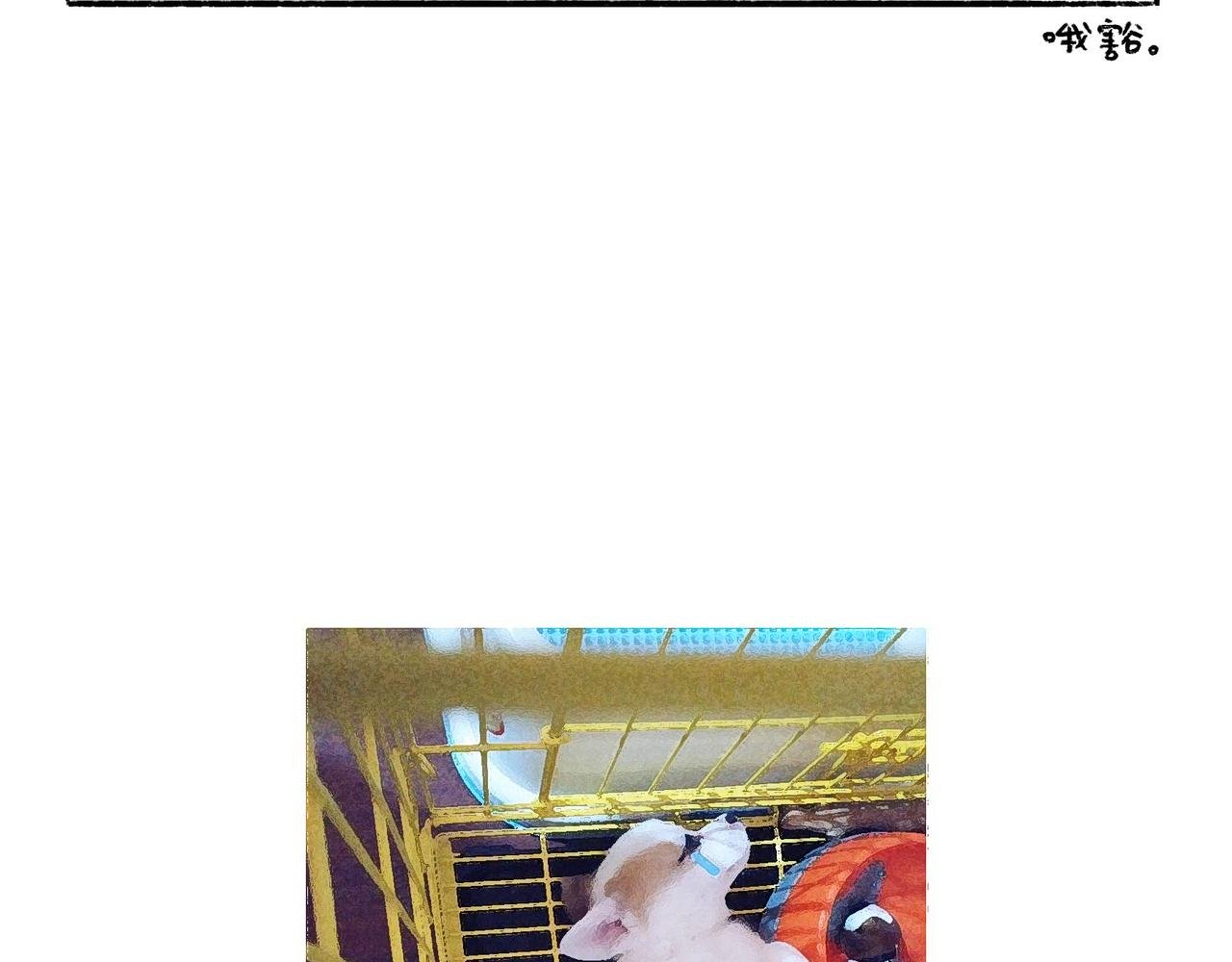 妈妈的严厉与温柔