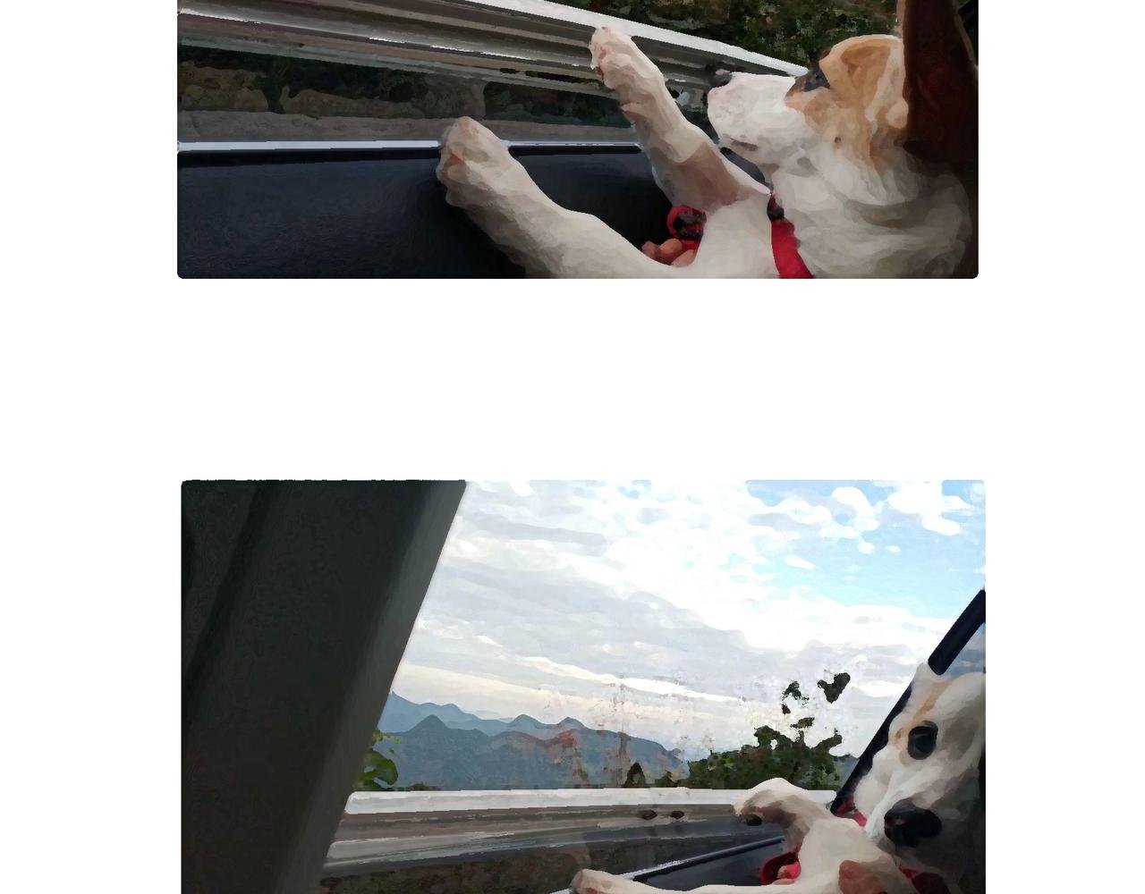 老司基也会晕车呀