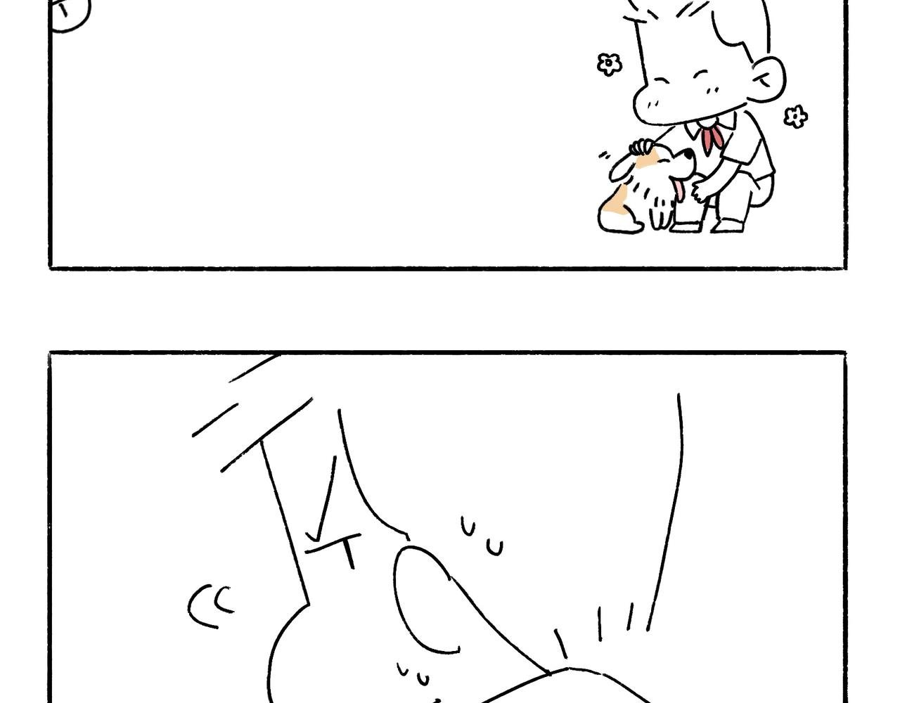 回乡偶记
