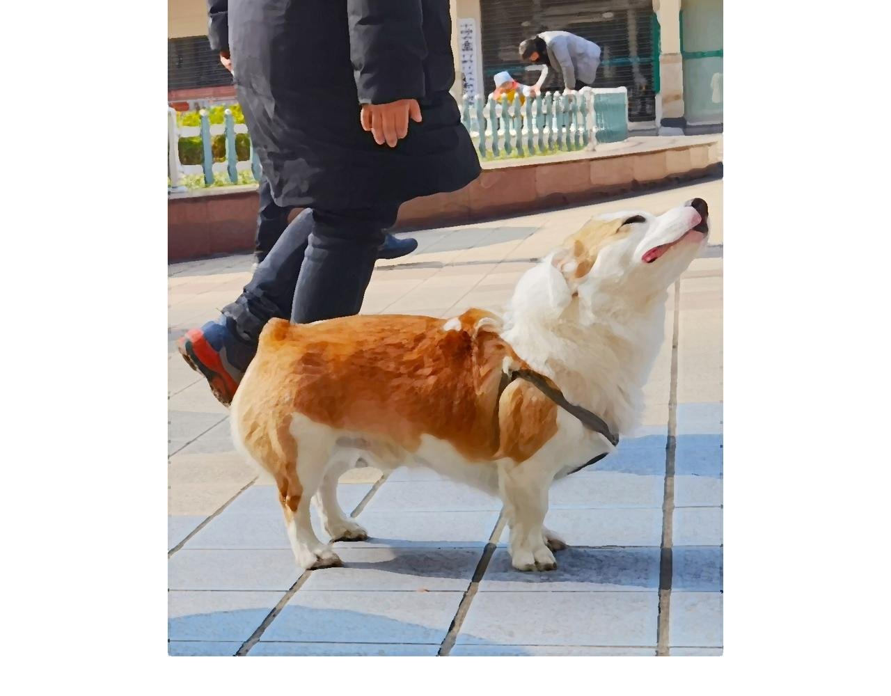 回乡偶记