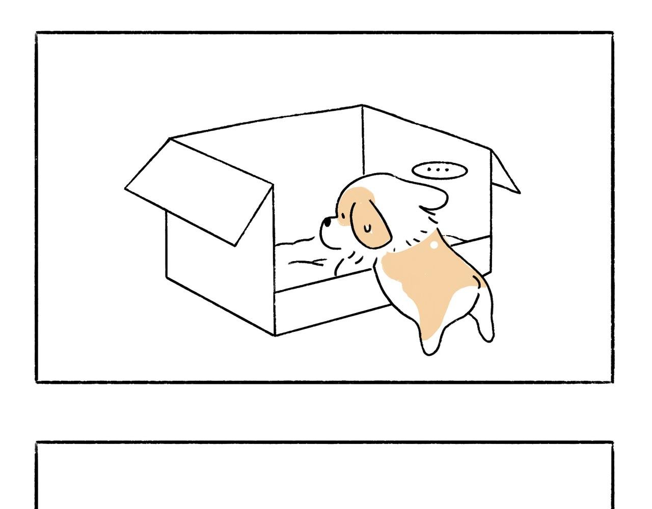 回乡偶记