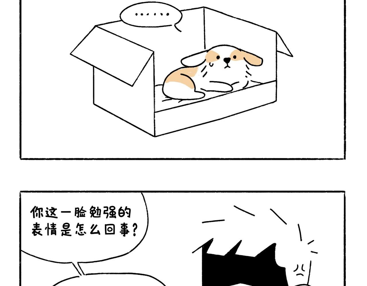 回乡偶记