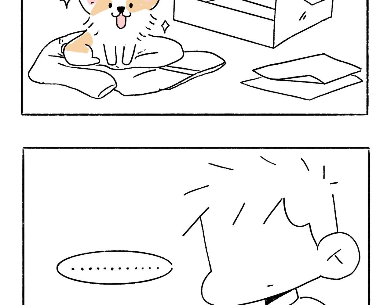 回乡偶记