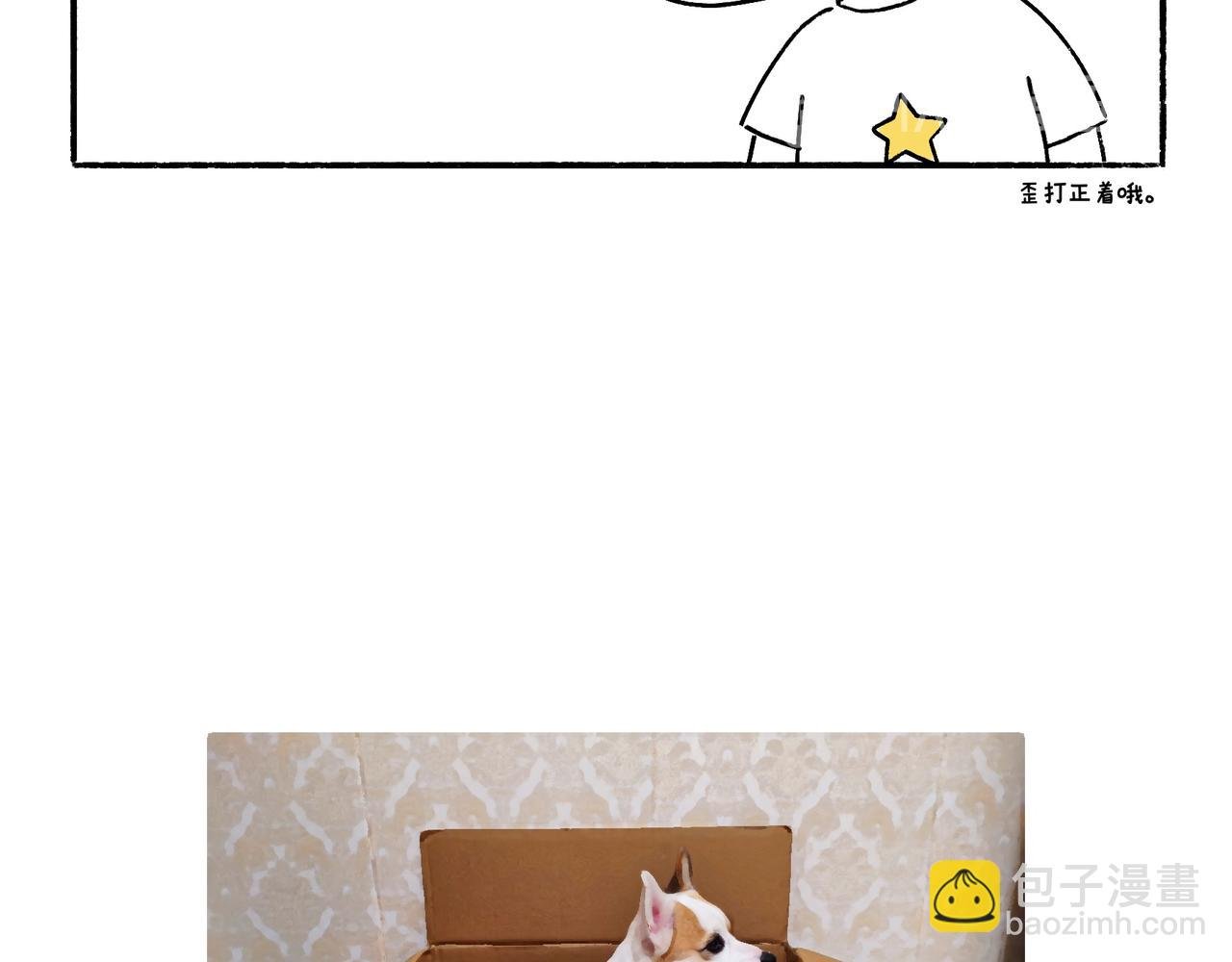 回乡偶记