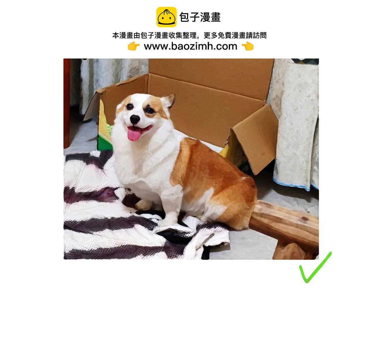回乡偶记