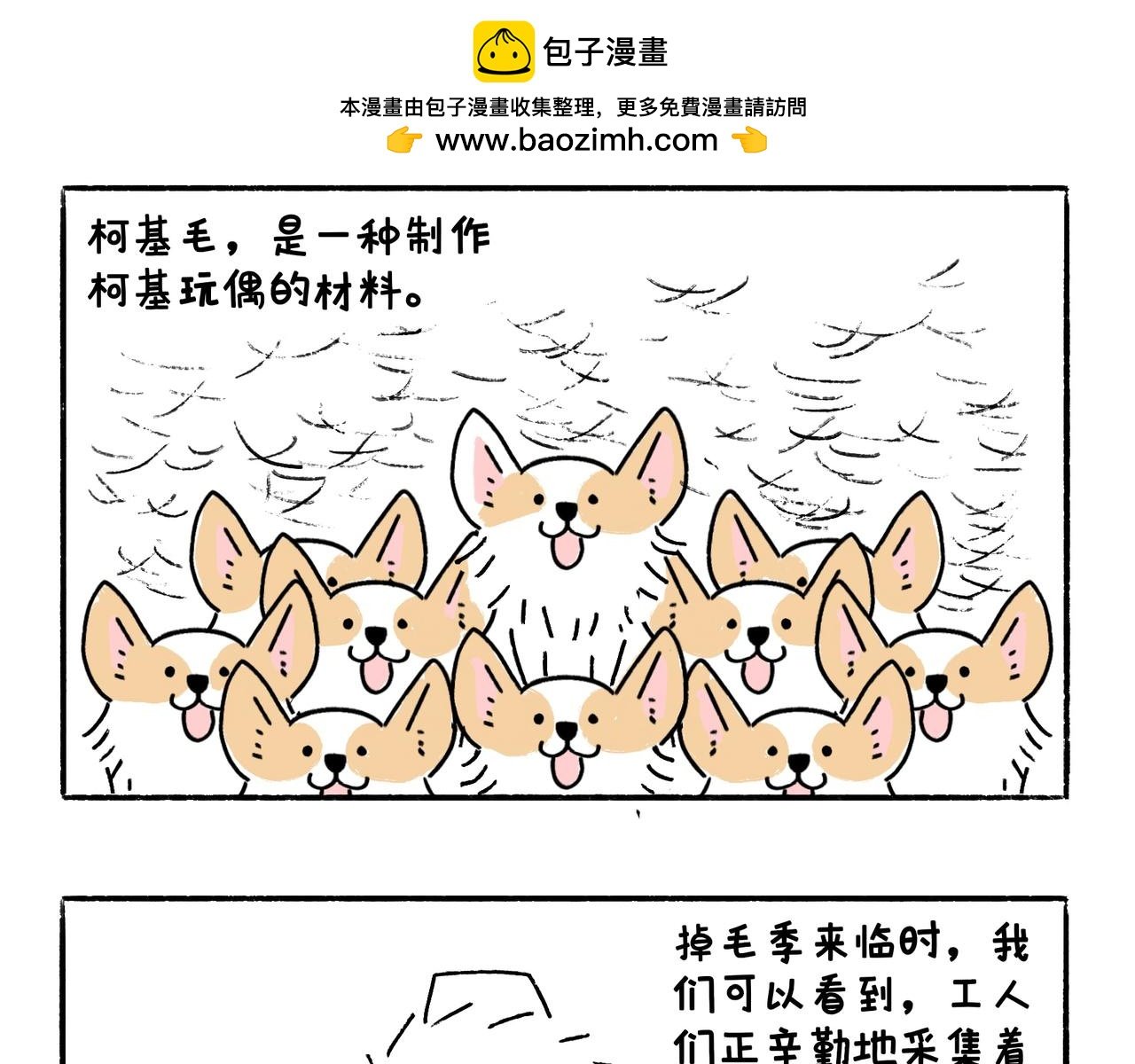 时事两则