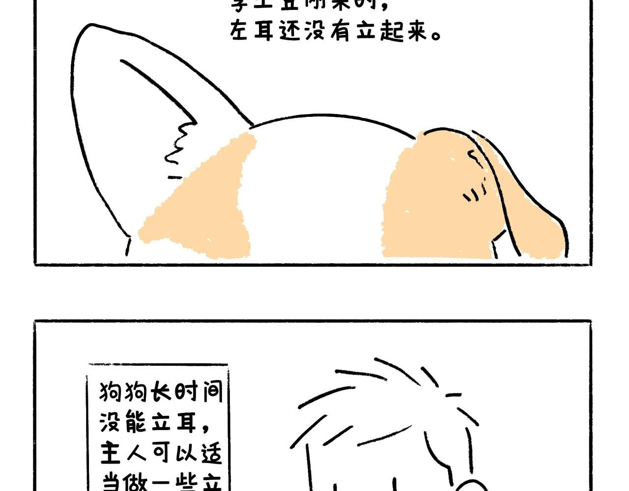 李土豆！就决定是你了！