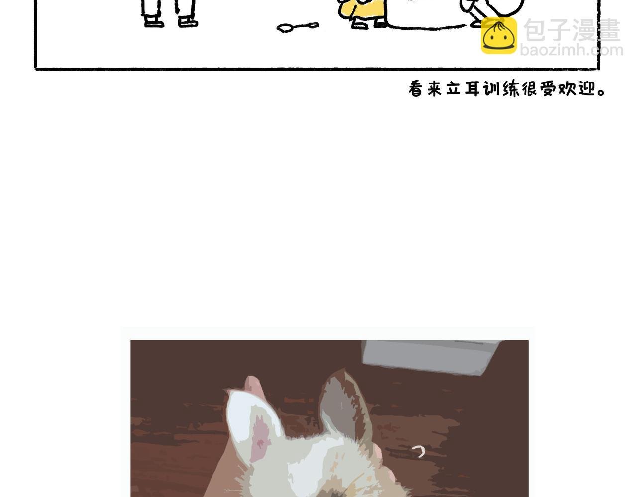 李土豆！就决定是你了！