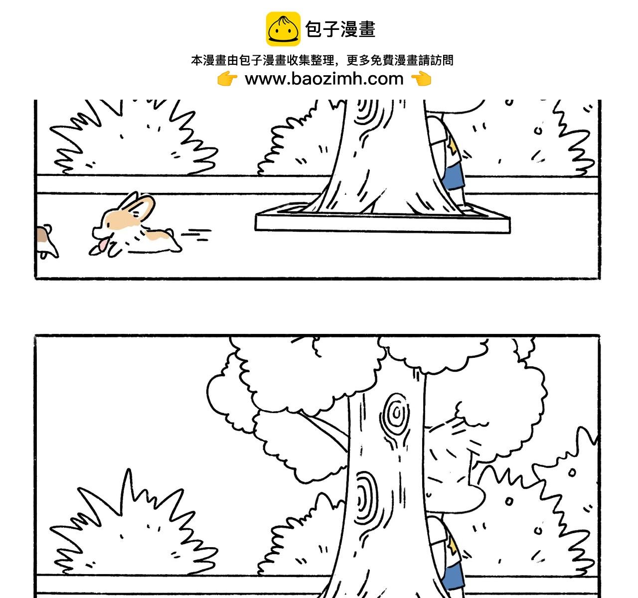 春天的小狗