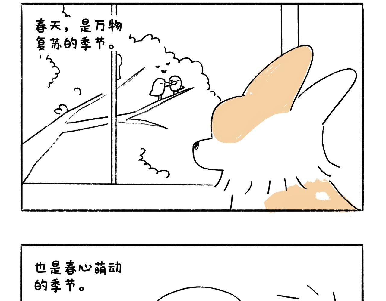 春天的小狗