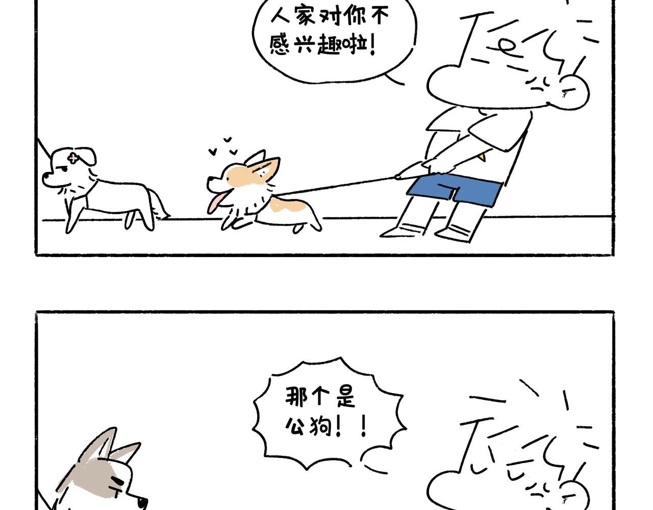 春天的小狗