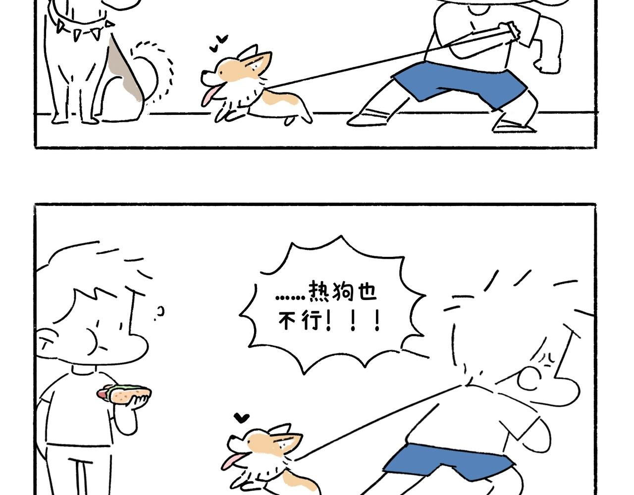 春天的小狗