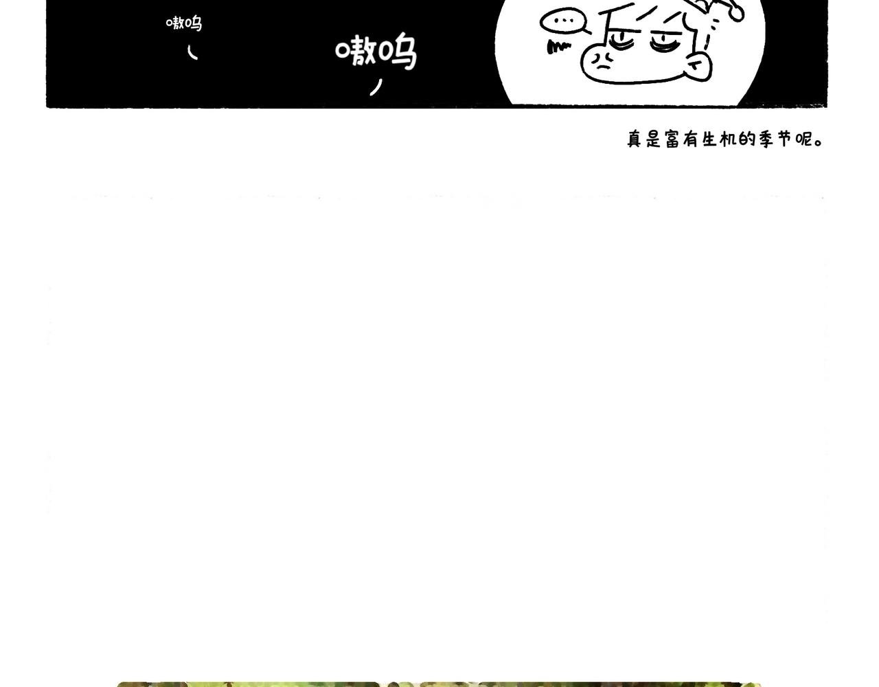 春天的小狗
