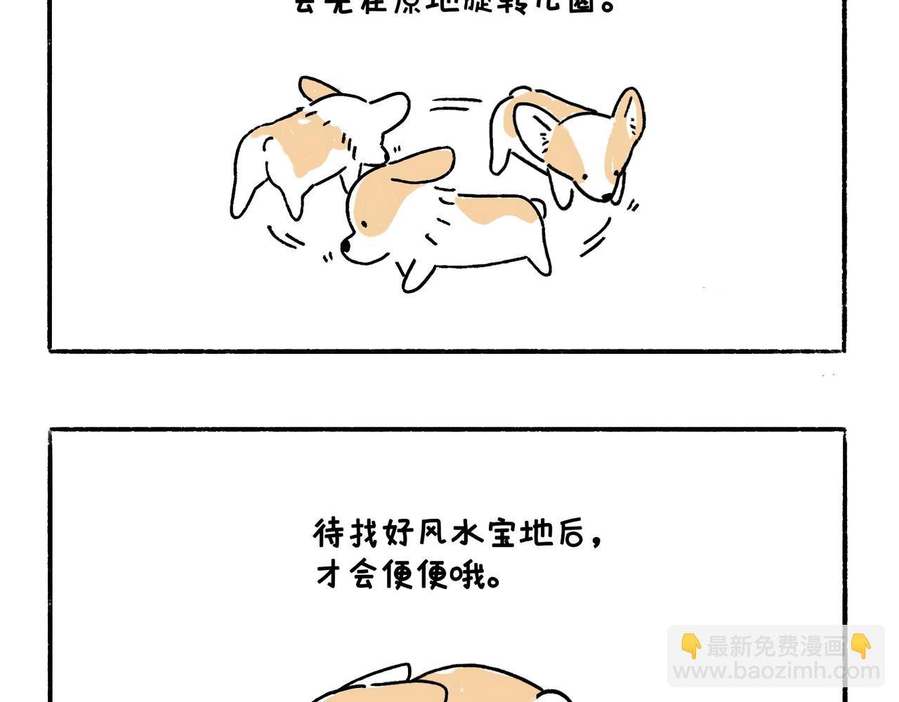 风水宝地 装死游戏