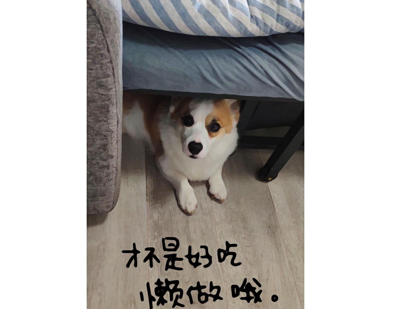 正确方法&打断
