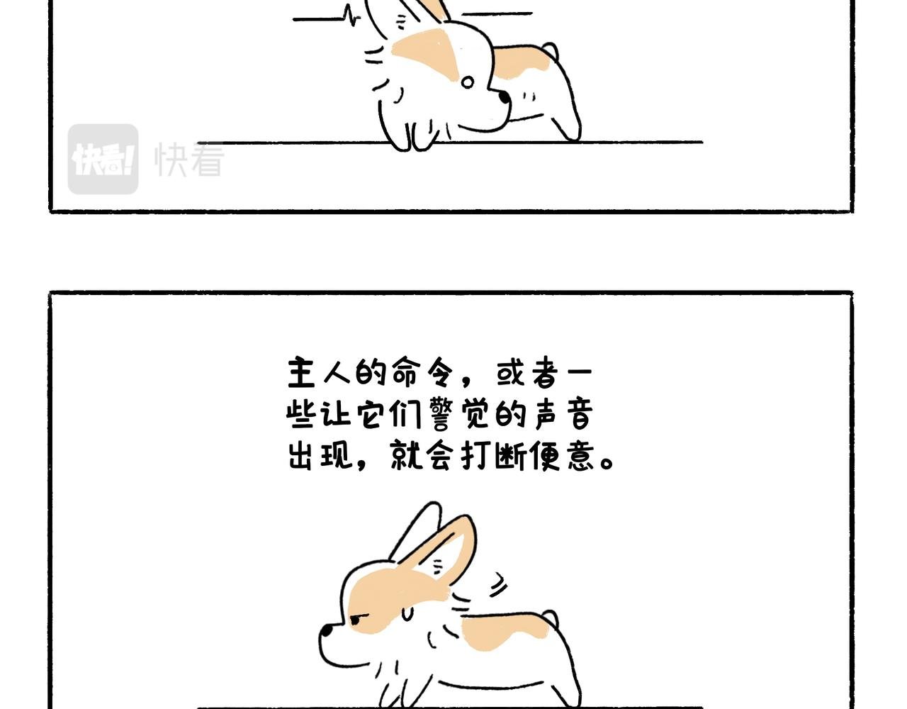 正确方法&打断