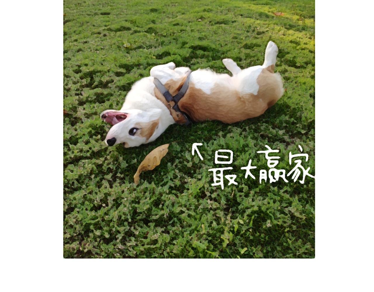 尴尬地呱