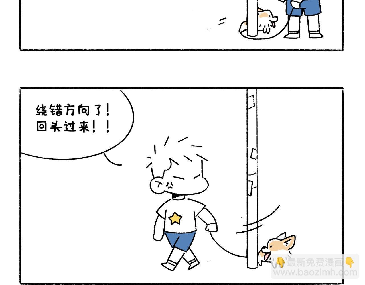 好像也没有特别聪明嘛