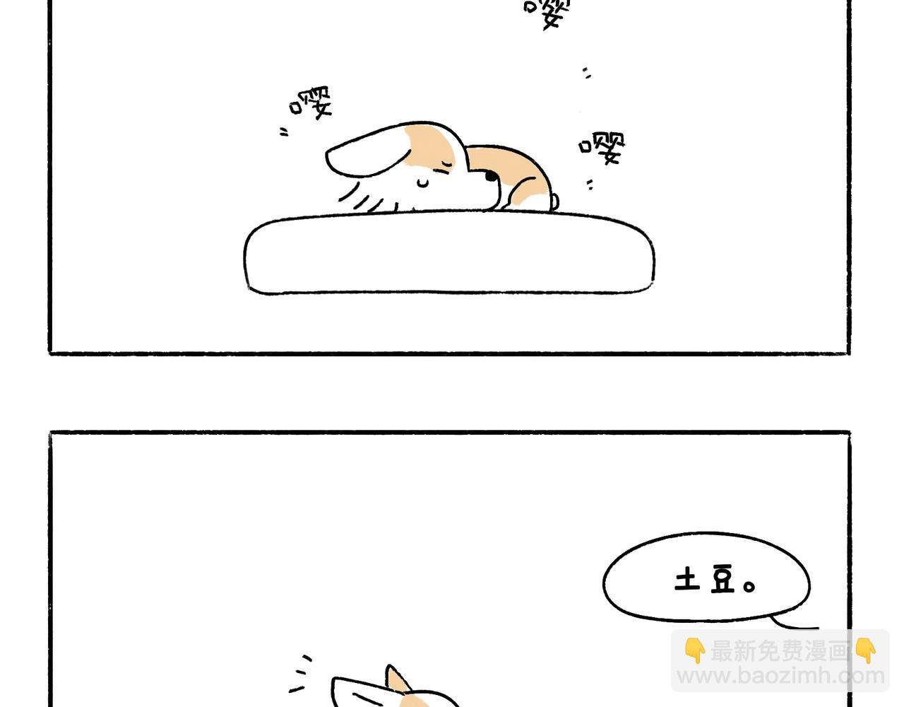 特别话：为了爱而记录