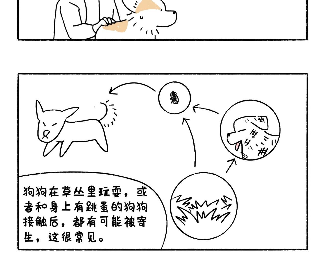 快乐地呱与干净土豆
