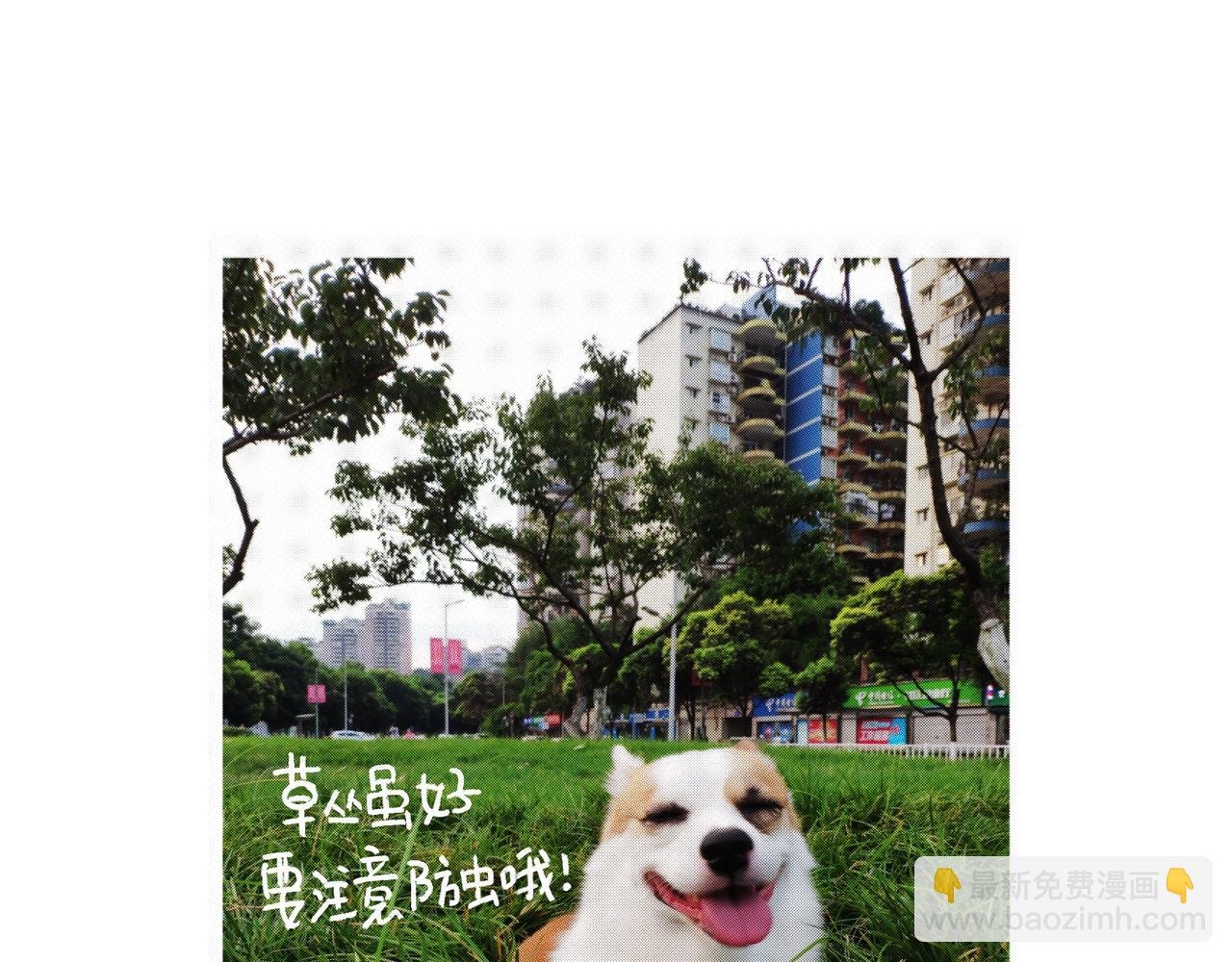 快乐地呱与干净土豆